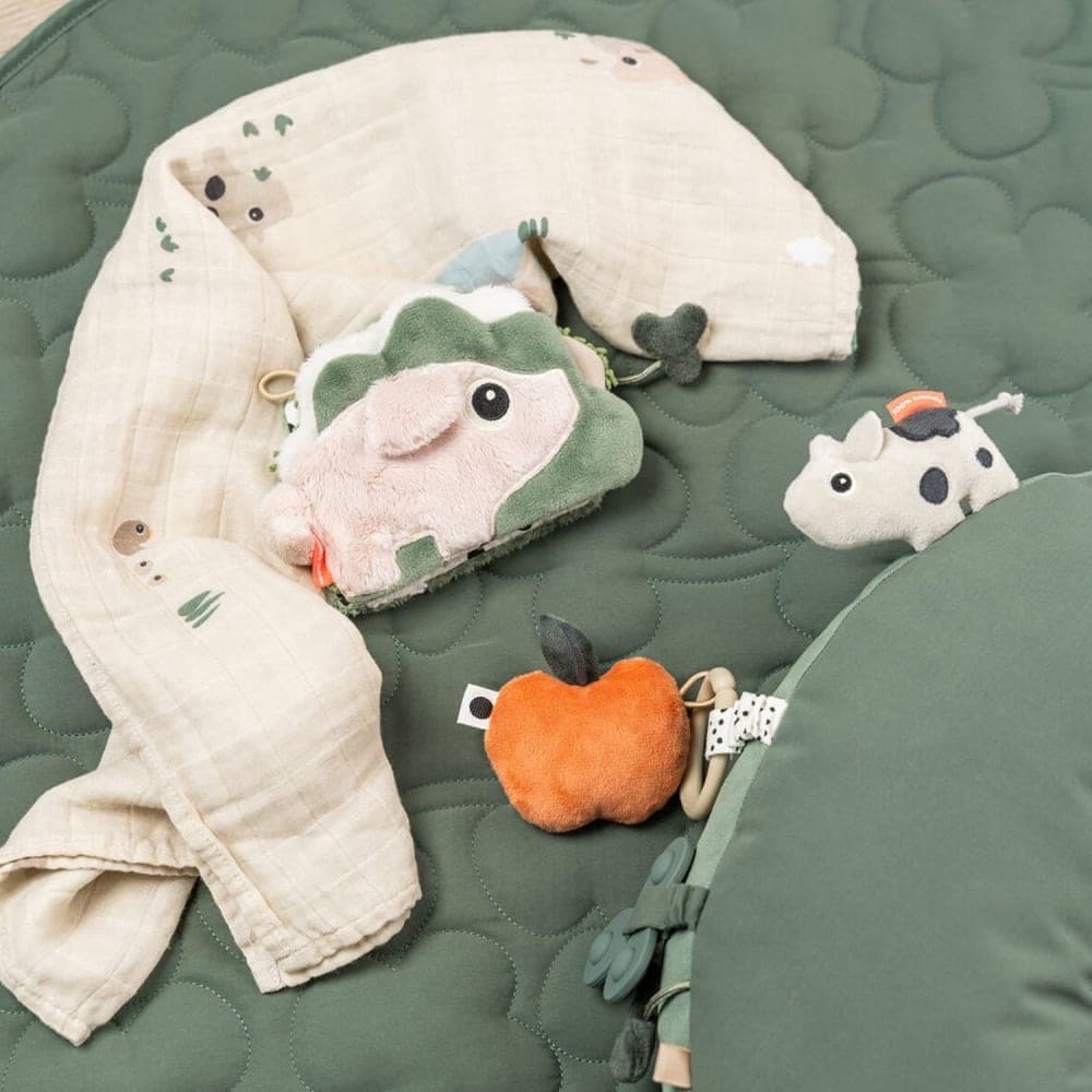 Coussin d'éveil - image 2