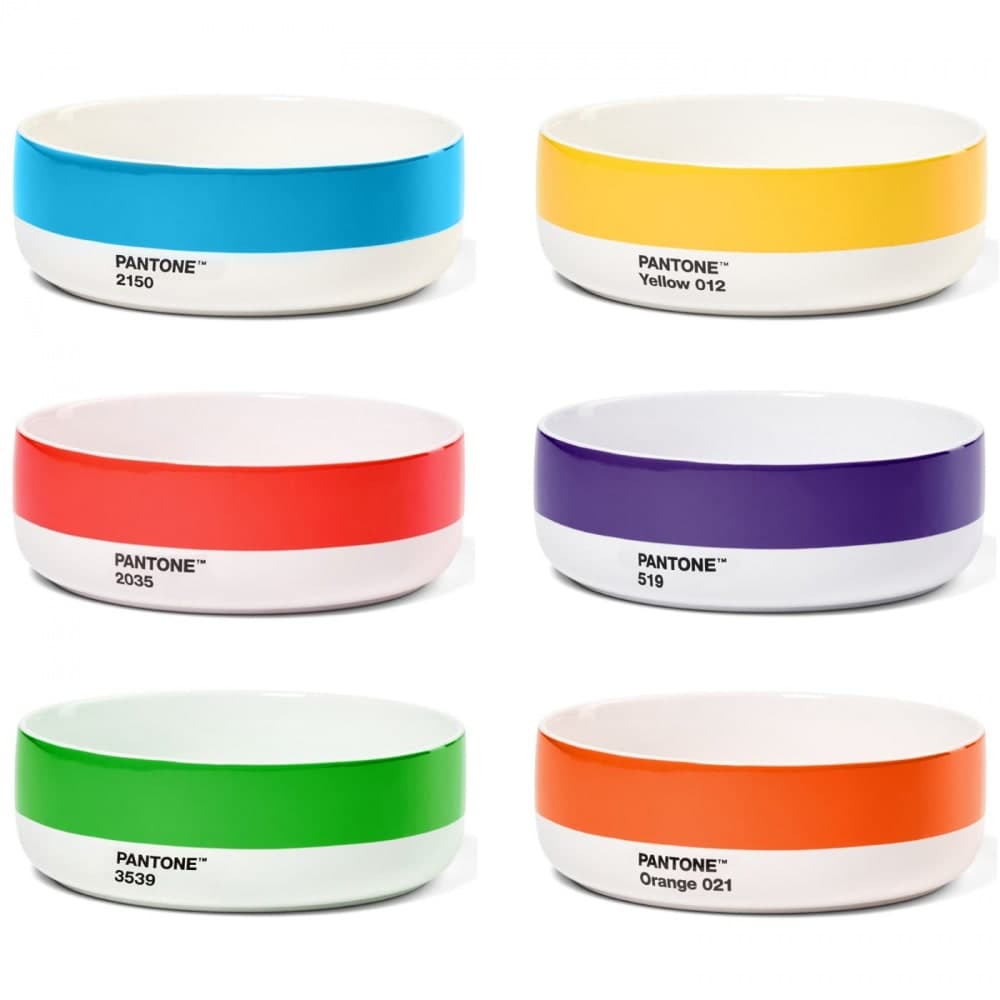 Ensemble de 6 bols colorés pour une table tendance