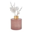 Diffuseur parfum d'ambiance 150 ml